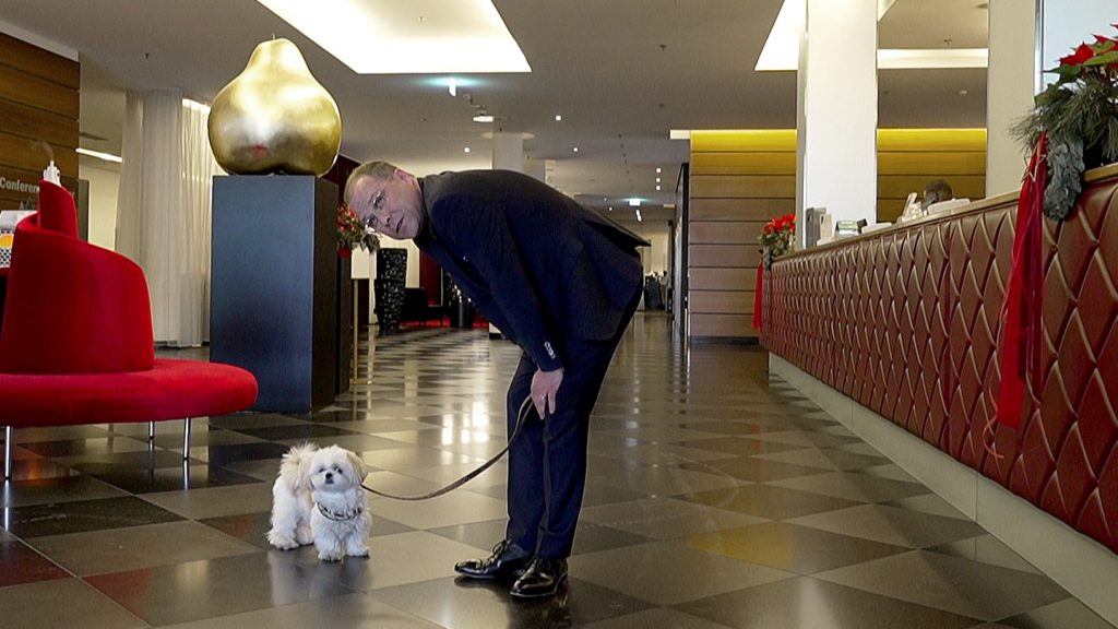 Mövenpick Airport: Paradisul Canin de Anul Nou În noaptea dintre ani, Hotelul „Mövenpick Airport” devine un adevărat refugiu pentru cei peste 200 de câini care se pregătesc să petreacă un Revelion fără zgomotul petardelor