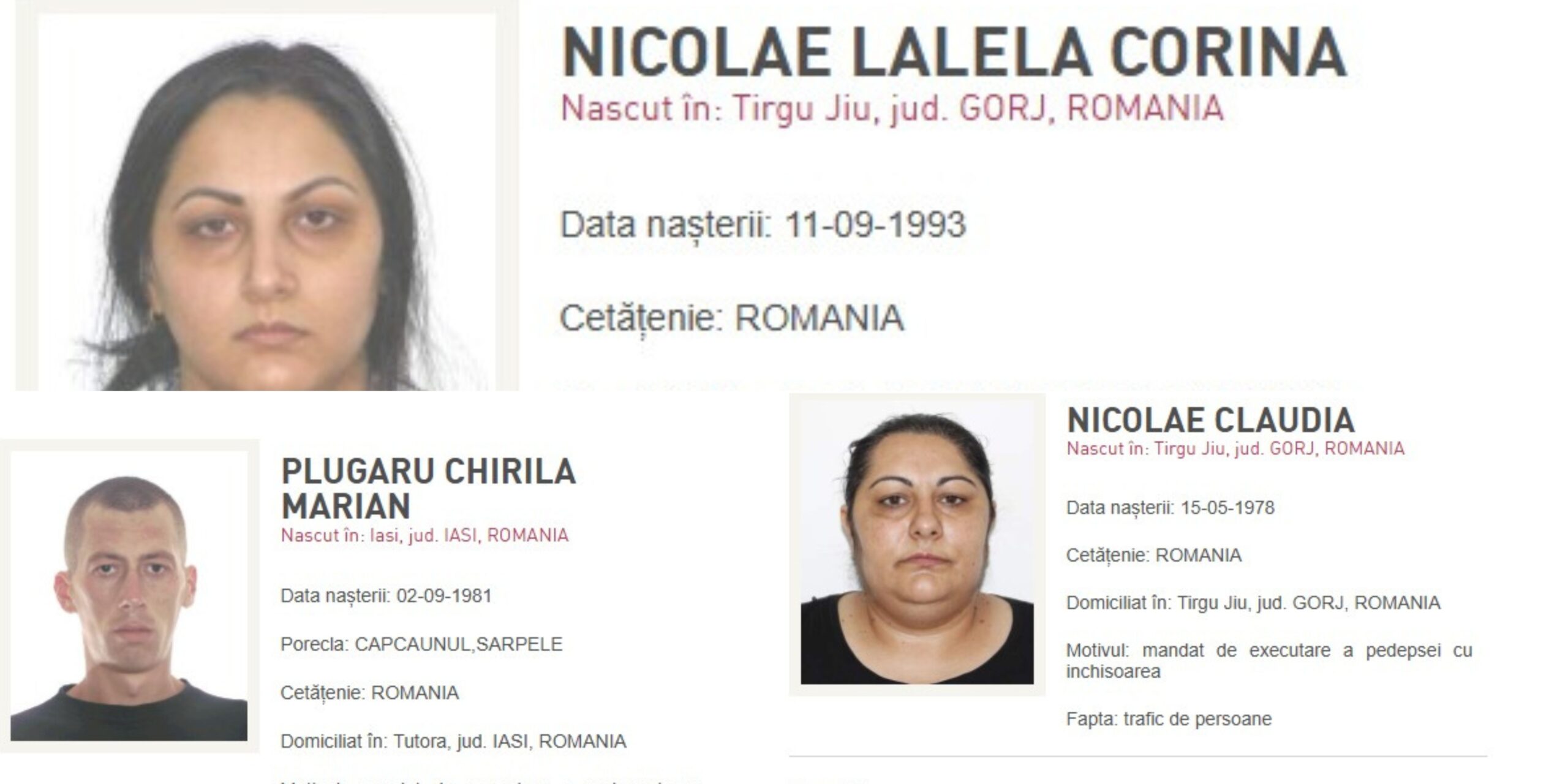 Poliția Română aduce în țară șapte infractori periculoși, inclusiv traficanți, urmărită „most wanted” și interlop condamnat la 12 ani