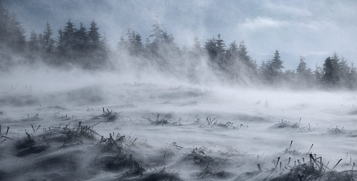 Viscol puternic în Munții Apuseni: zonele de peste 1.800 de metri au intrat sub Cod Roșu de avertizare meteo Viscolul devastator a lovit ieri dimineață zonele montane ale județului Alba, fiind emis un cod roșu de avertizare meteorologică pentru aceste regiuni