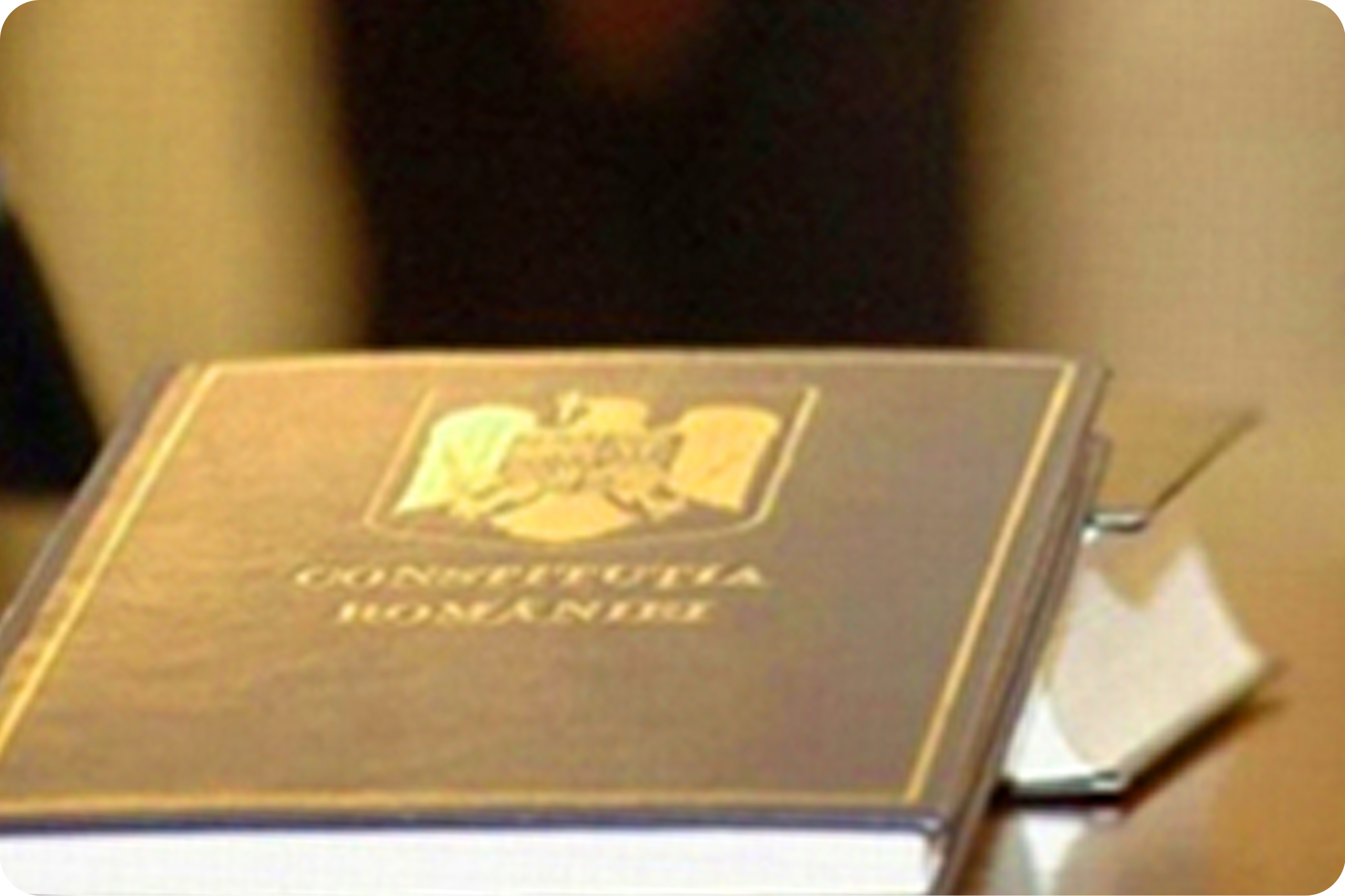 Curtea Constituțională a României – Comunicat de Presă, 28 decembrie 2025