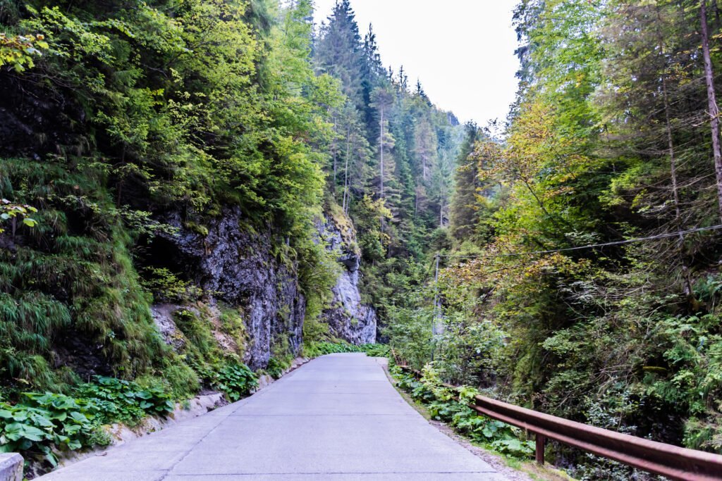Un accident tragic a zguduit regiunea Sibiu în toiul nopții de marți spre miercuri, când un camion încărcat cu lemne s-a răsturnat într-o râpă adâncă de aproximativ 170 de metri, pe Valea Arpașu Mare