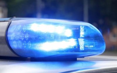 096aa9a6-c5af-410f-af50-49b7b41ea4e6.jpeg - StiriAlese