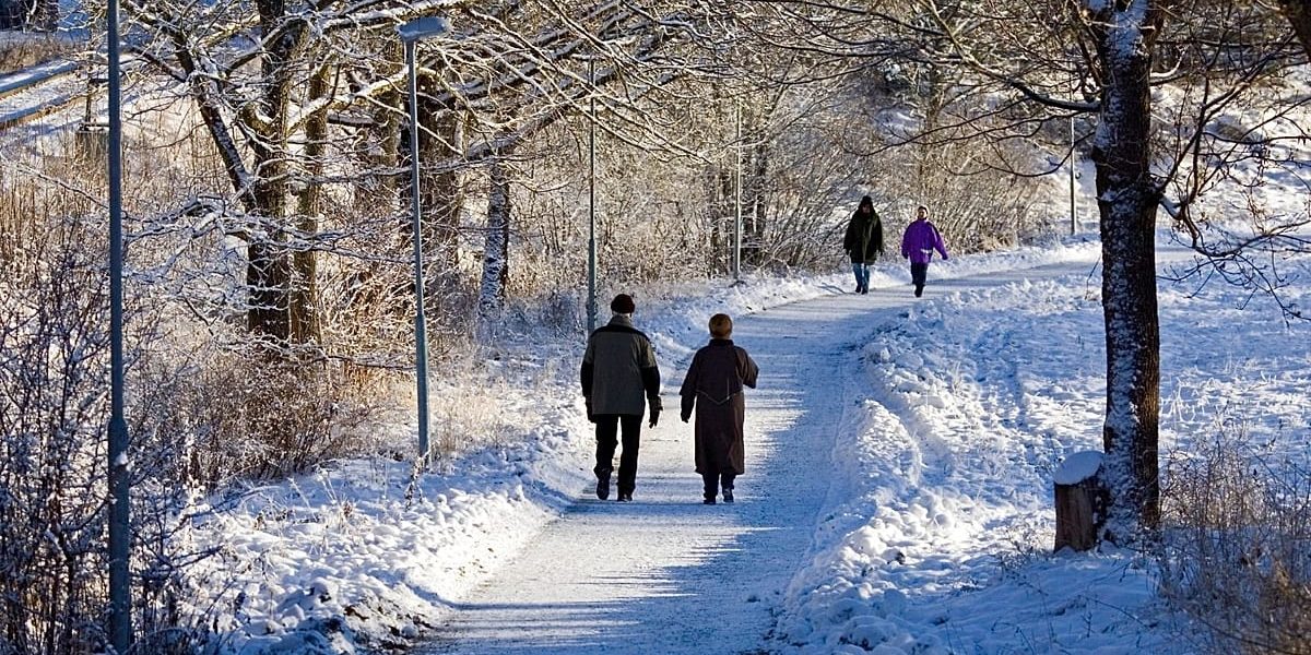 1200x675_cmsv2_11f30c72-a22d-5901-a2f5-ab791efb2a8d-9615536.jpg - StiriAlese