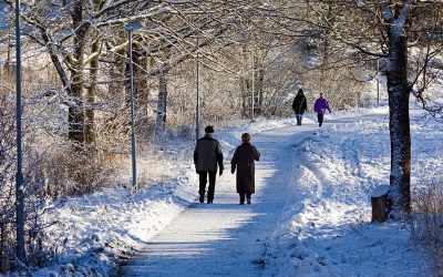 1200x675_cmsv2_11f30c72-a22d-5901-a2f5-ab791efb2a8d-9615536.jpg - StiriAlese