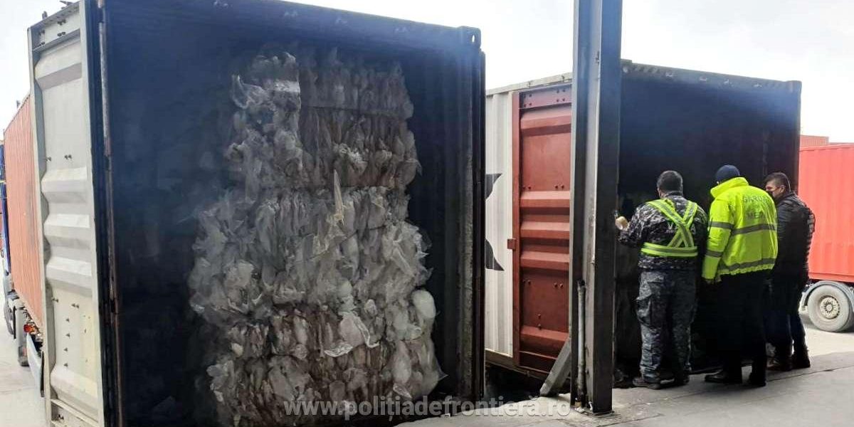 1641638053185-15505-S4.jpg - StiriAlese