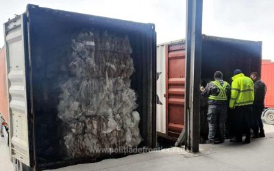 1641638053185-15505-S4.jpg - StiriAlese