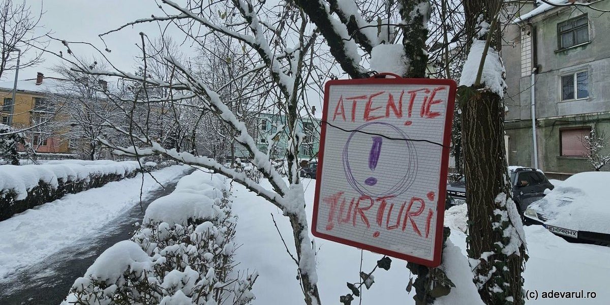 1768482825_index.jpeg - StiriAlese