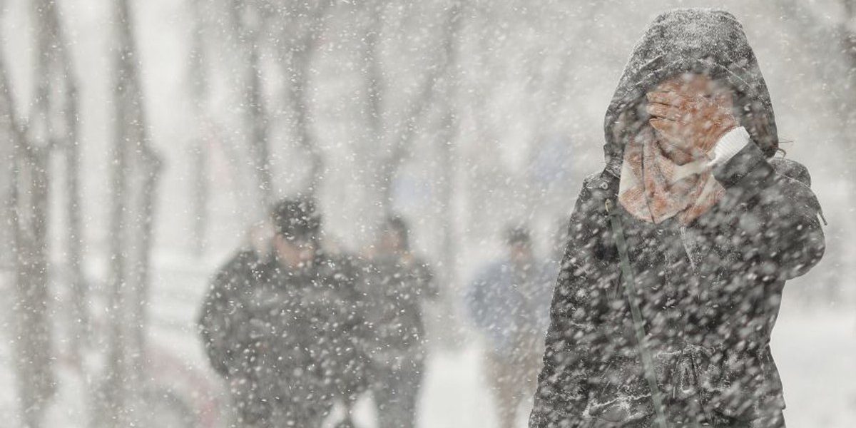 1769490303_index.jpeg - StiriAlese