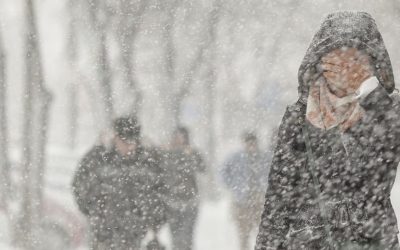 1769490303_index.jpeg - StiriAlese