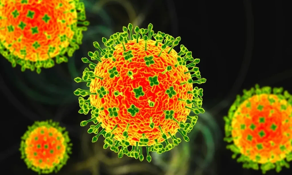 Virusul Nipah: Cinci cazuri suspecte confirmate în India Un nou val de îngrijorare s-a răspândit în Asia, după ce India a raportat cinci cazuri suspecte de infecție cu virusul Nipah, dintre care două au fost confirmate