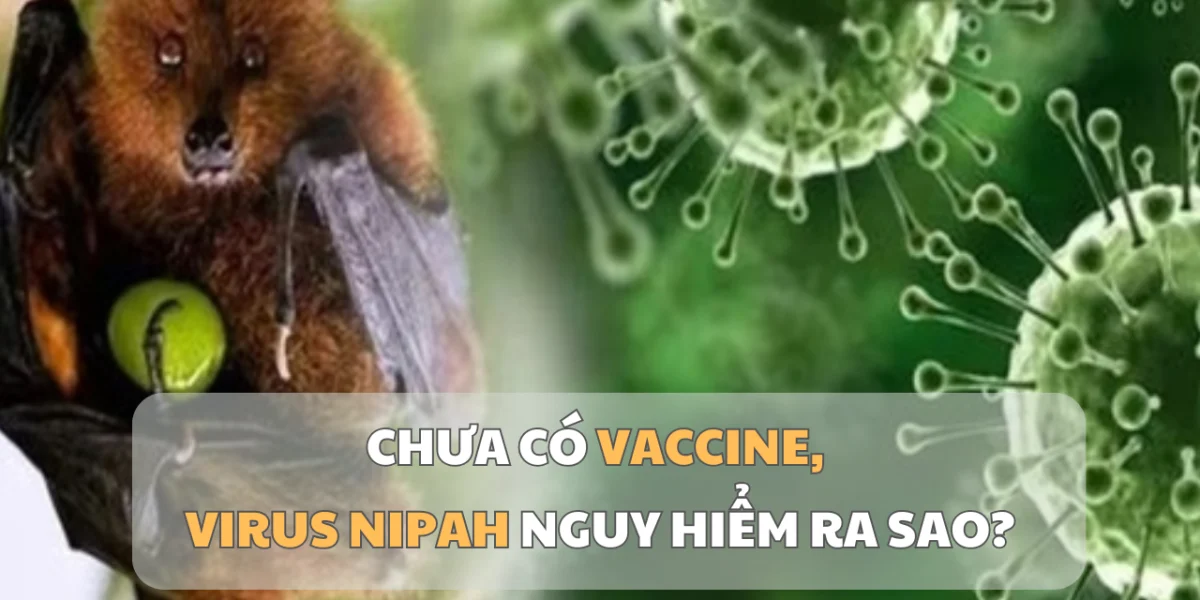 1769500972493_virus-1769477844.webp.webp - StiriAlese