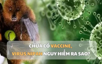 1769500972493_virus-1769477844.webp.webp - StiriAlese