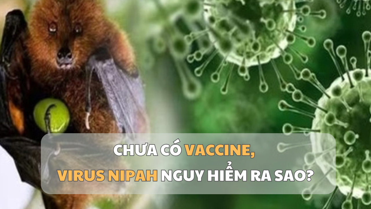 Virusul Nipah: Cât de mare este amenințarea fără vaccin?