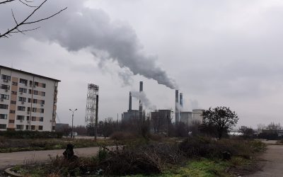 20201214_142011.jpg - StiriAlese