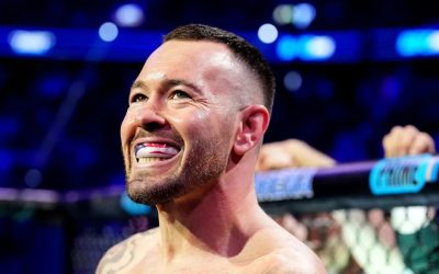 351f18a0-edd6-11f0-abff-ee8ed6aaf75e.jpeg - StiriAlese