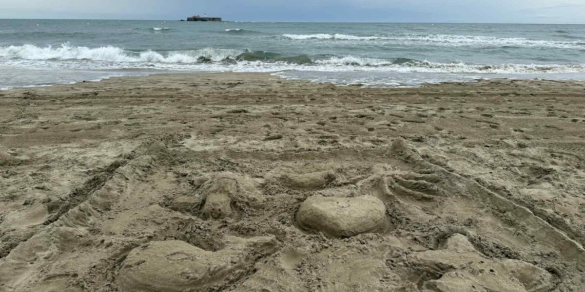 3f7a39ab-eca7-4a86-9451-7a2ae1eaf3ba-1.jpeg - StiriAlese