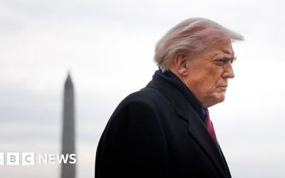 429d1a40-ea2f-11f0-bee8-cb37bc70a803.jpg - StiriAlese