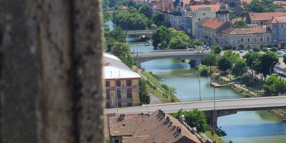 459685130_1051412149687601_4381914812207648563_n.jpg - StiriAlese