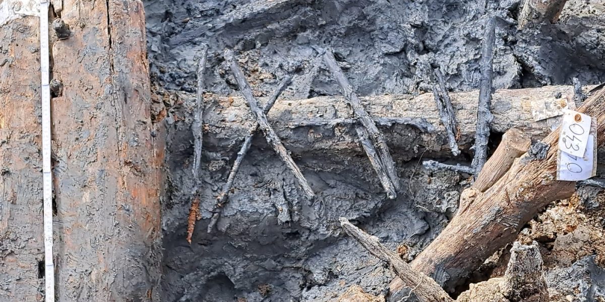 460553236_1033796222088564_3072463959415696088_n.jpg - StiriAlese