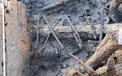 460553236_1033796222088564_3072463959415696088_n.jpg - StiriAlese