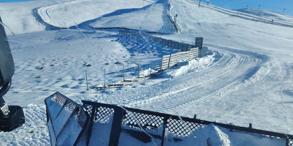 606310258_1278359477655740_6248154203446451249_n-e1768032281187.jpg - StiriAlese