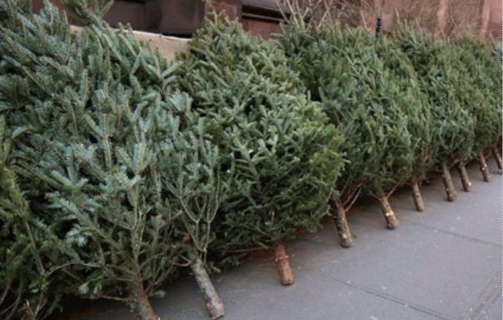 608446126_122117816589044644_1494675727540220650_n.jpg - StiriAlese