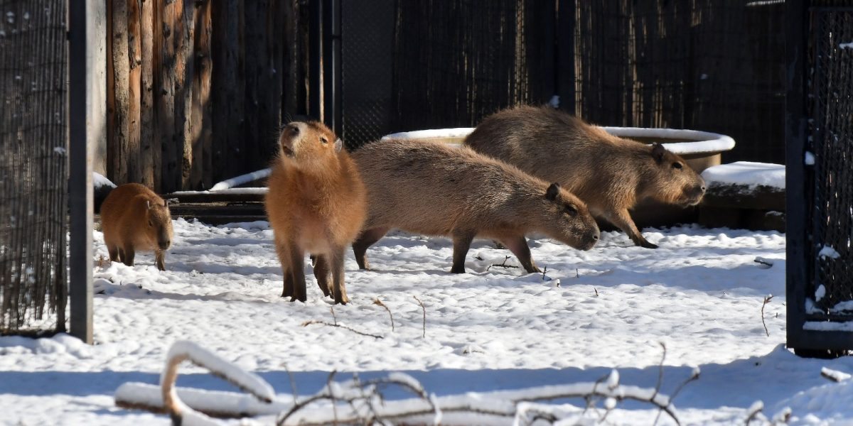 614370520_1220176896956679_1214751046734950909_n.jpg - StiriAlese