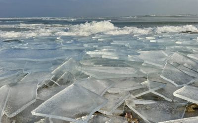 615741438_1577602013283574_1738898738571165520_n.jpg - StiriAlese