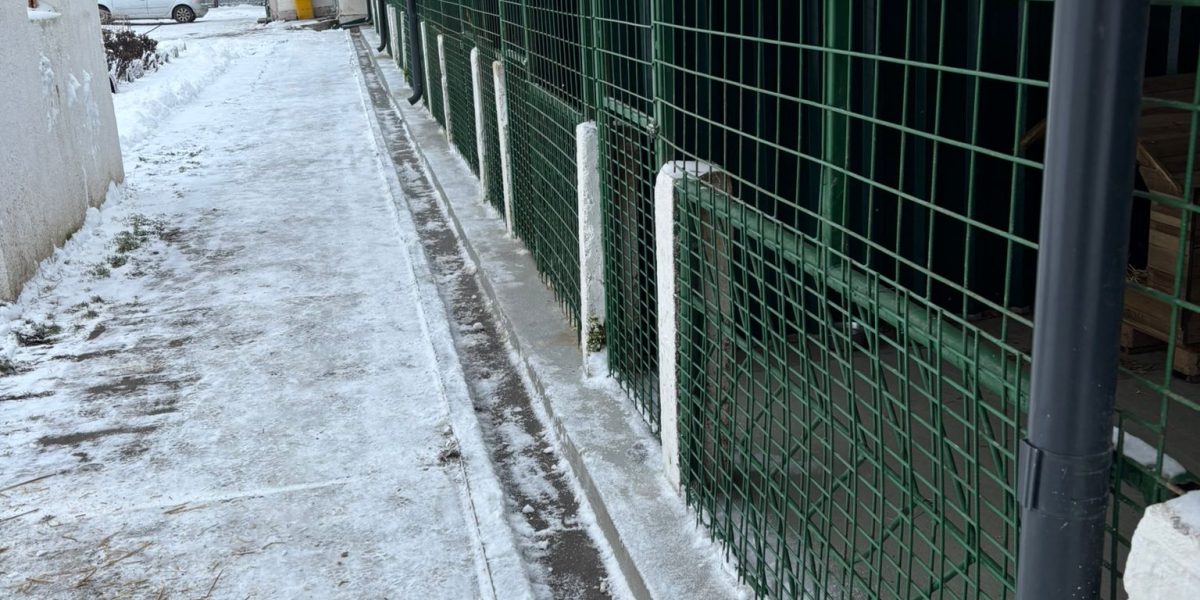 615938250_1228115772806891_777441481817605917_n.jpg - StiriAlese