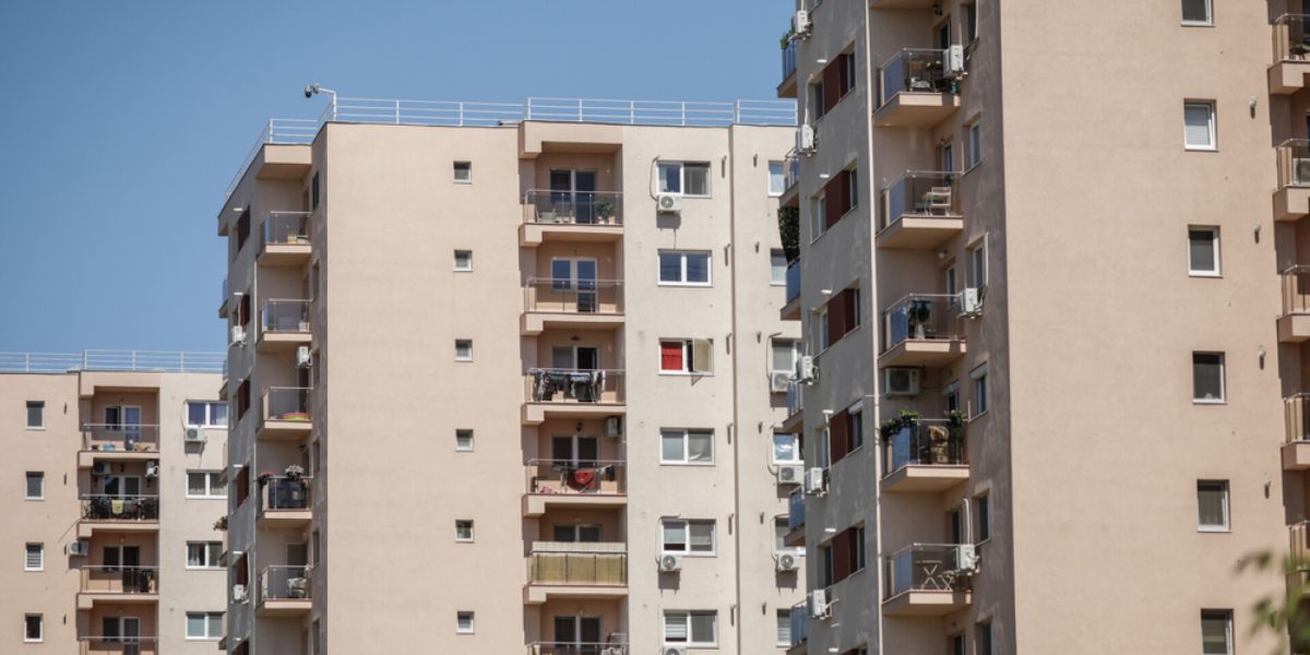 62175425.jpg - StiriAlese