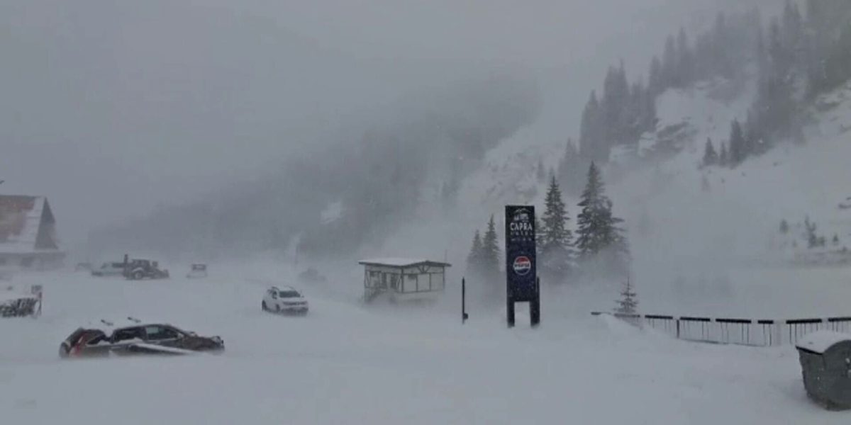 62500391.jpg - StiriAlese