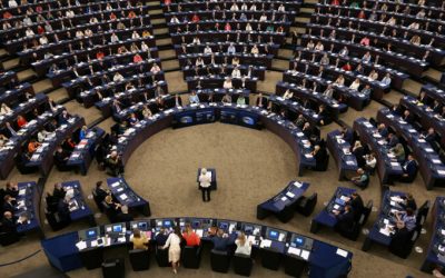 62501685.jpg - StiriAlese