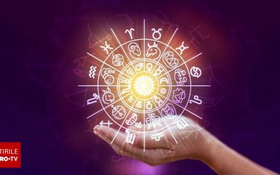 62555788-2.jpg - StiriAlese