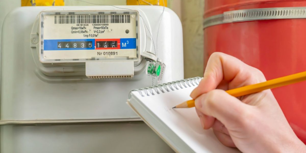 62589256.jpg - StiriAlese