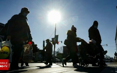 62603047-2.jpg - StiriAlese