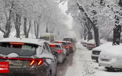 62603458-2.jpg - StiriAlese