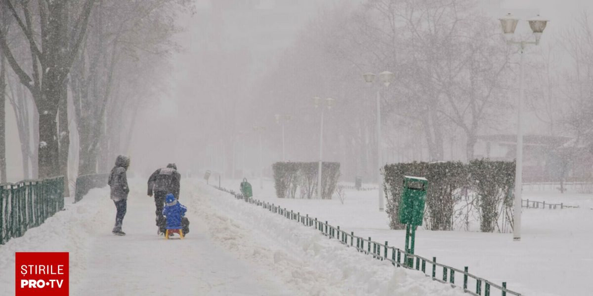 62603540-2.jpg - StiriAlese