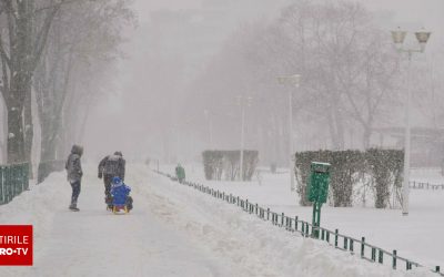 62603540-2.jpg - StiriAlese