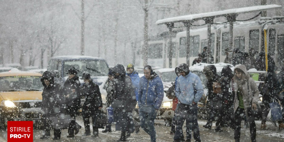 62605100-2.jpg - StiriAlese