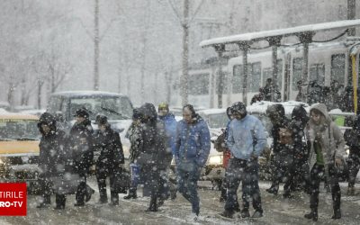 62605100-2.jpg - StiriAlese