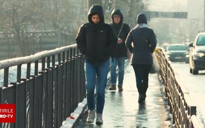 62606685-2.jpg - StiriAlese