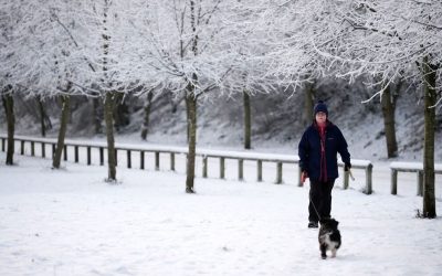 6667197.jpg - StiriAlese