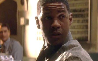 6696408.jpg - StiriAlese