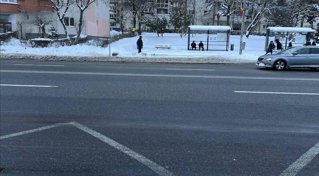 696493c737c96_ssss.jpg - StiriAlese