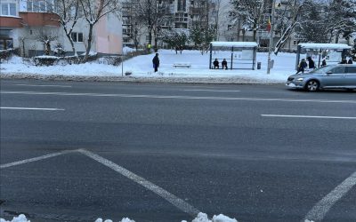 696493c737c96_ssss.jpg - StiriAlese