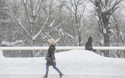 7411936-mediafax_foto-andreea_alexandru-scaled.jpg - StiriAlese