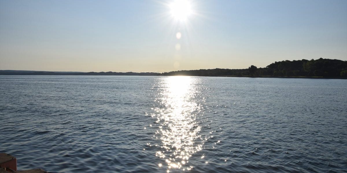 74454417007-dsc-0521.JPG - StiriAlese