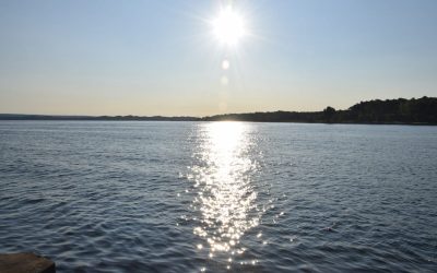 74454417007-dsc-0521.JPG - StiriAlese