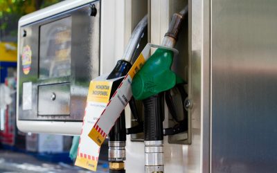 7449548-mediafax_foto-alexandra_pandrea-scaled.jpg - StiriAlese