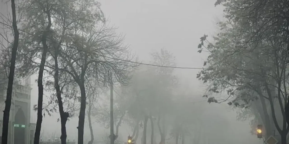 7c5c0623d2_untitled-design-2026-01-04t153148_968.webp.webp - StiriAlese